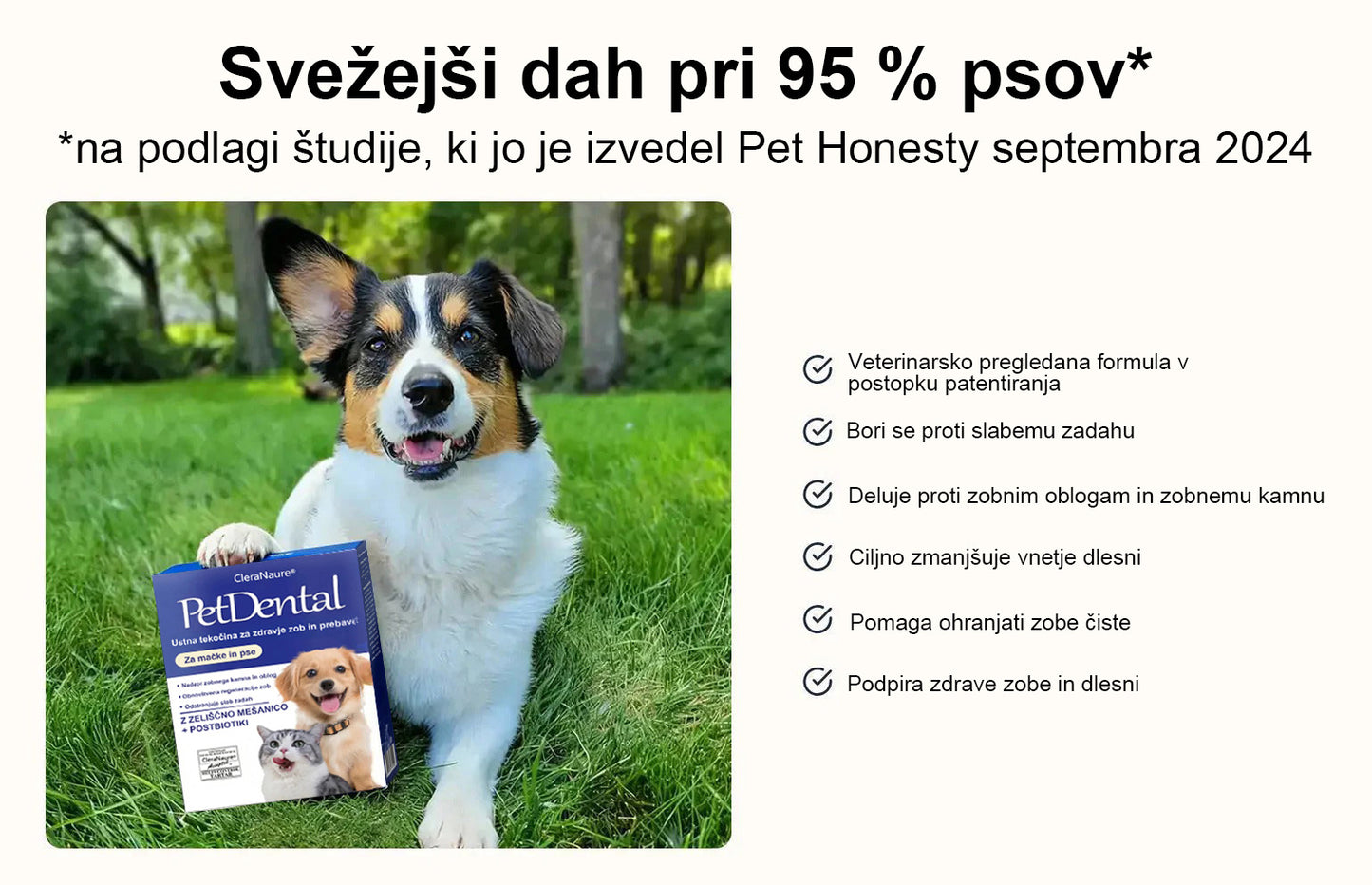 [Uradna trgovina] CleraNaure® Ustna tekočina za nego zob in zdravje prebave hišnih ljubljenčkov – Osveži dah, odstranjuje zobni kamen, podpira regeneracijo dlesni in stabilizira zobe (za mačke in pse) – Prihranite 80% že danes!